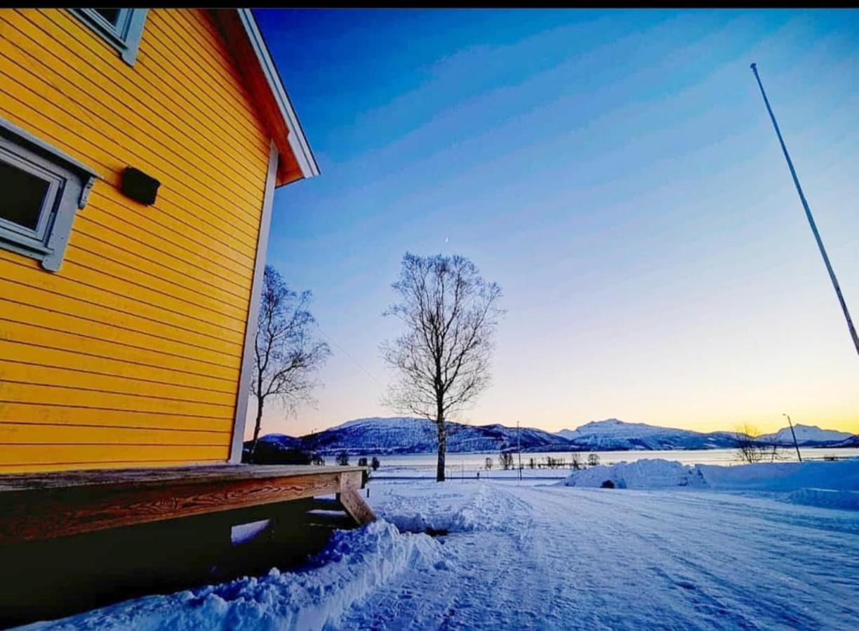 אבנסקייר 1 Room In The Yellow House, Close To Airport & Lofoten מראה חיצוני תמונה